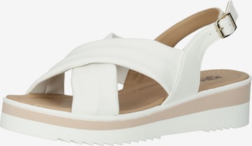 IGI&CO Strap Sandals in White: front