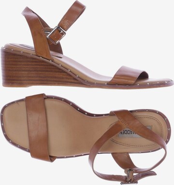 STEVE MADDEN Sandals & High-Heeled Sandals in 40,5 in Brown: front