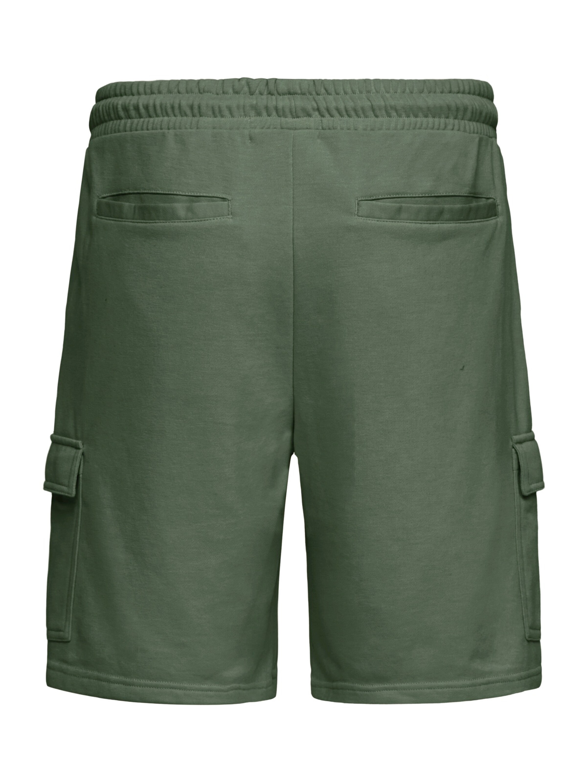 BLEND - regular Pantalón cargo ' BHKarlos' en verde