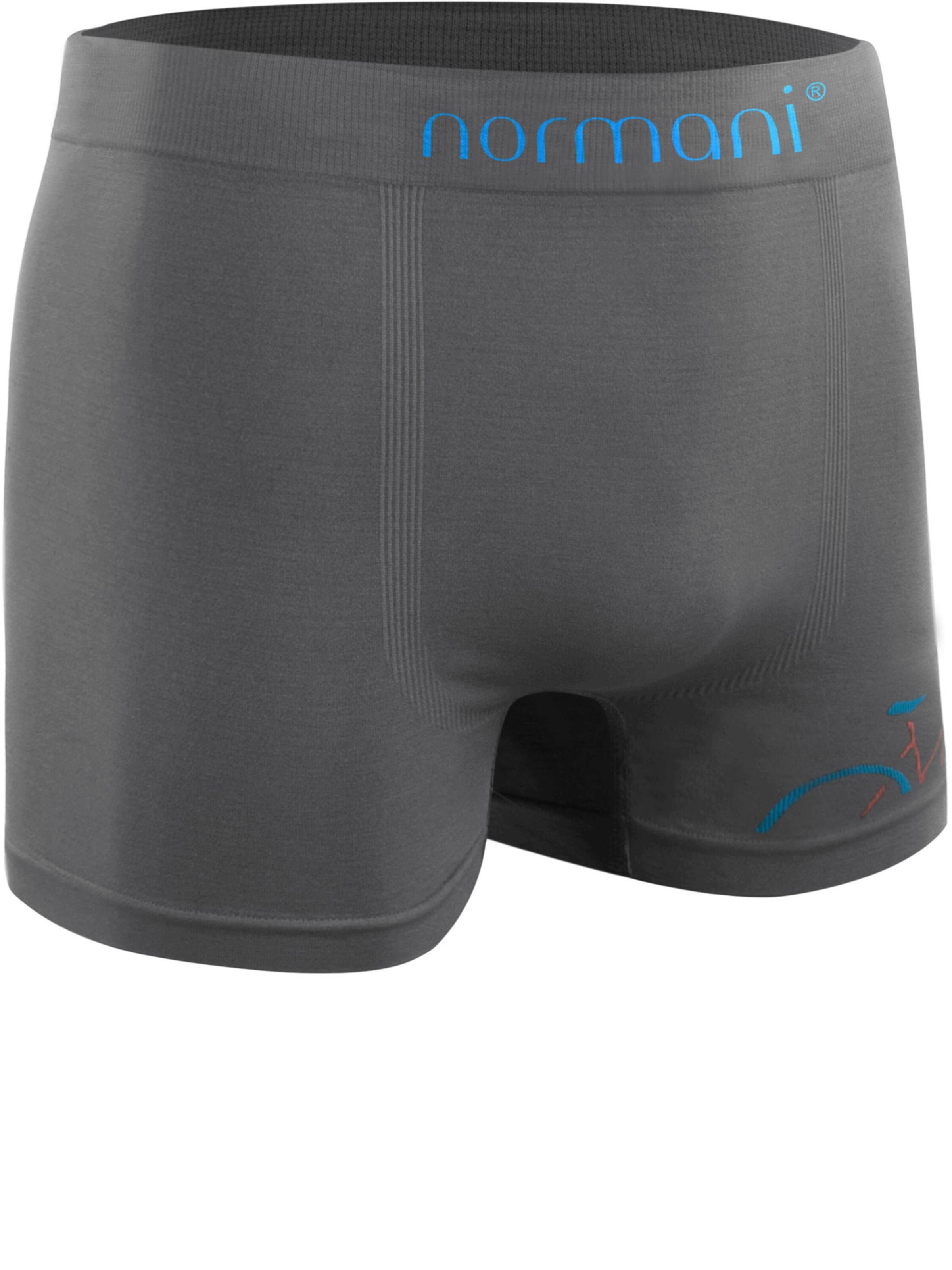 Boxers normani en gris