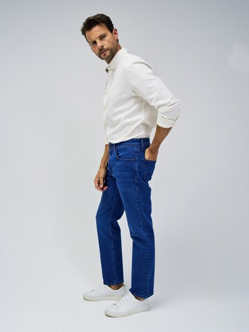 Salsa Jeans Regular Jeans in Blauw