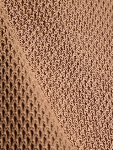 Karl Lagerfeld Sweater in Brown