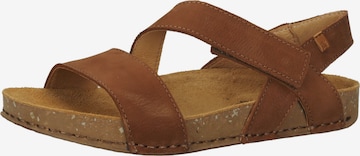 EL NATURALISTA Sandals in Brown: front