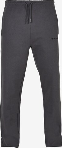 Slimfit Pantaloni di 9N1M SENSE in grigio: frontale