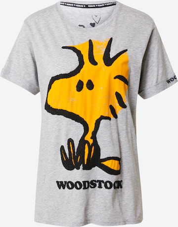 Frogbox T-shirt – šedá: přední strana