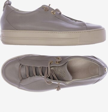 Paul Green Sneakers & Trainers in 40,5 in Grey: front