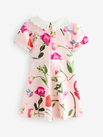 Baker by Ted Baker Φόρεμα σε ροζ