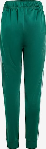ADIDAS ORIGINALS Zwężany krój Spodnie 'Adicolor' w kolorze zielony