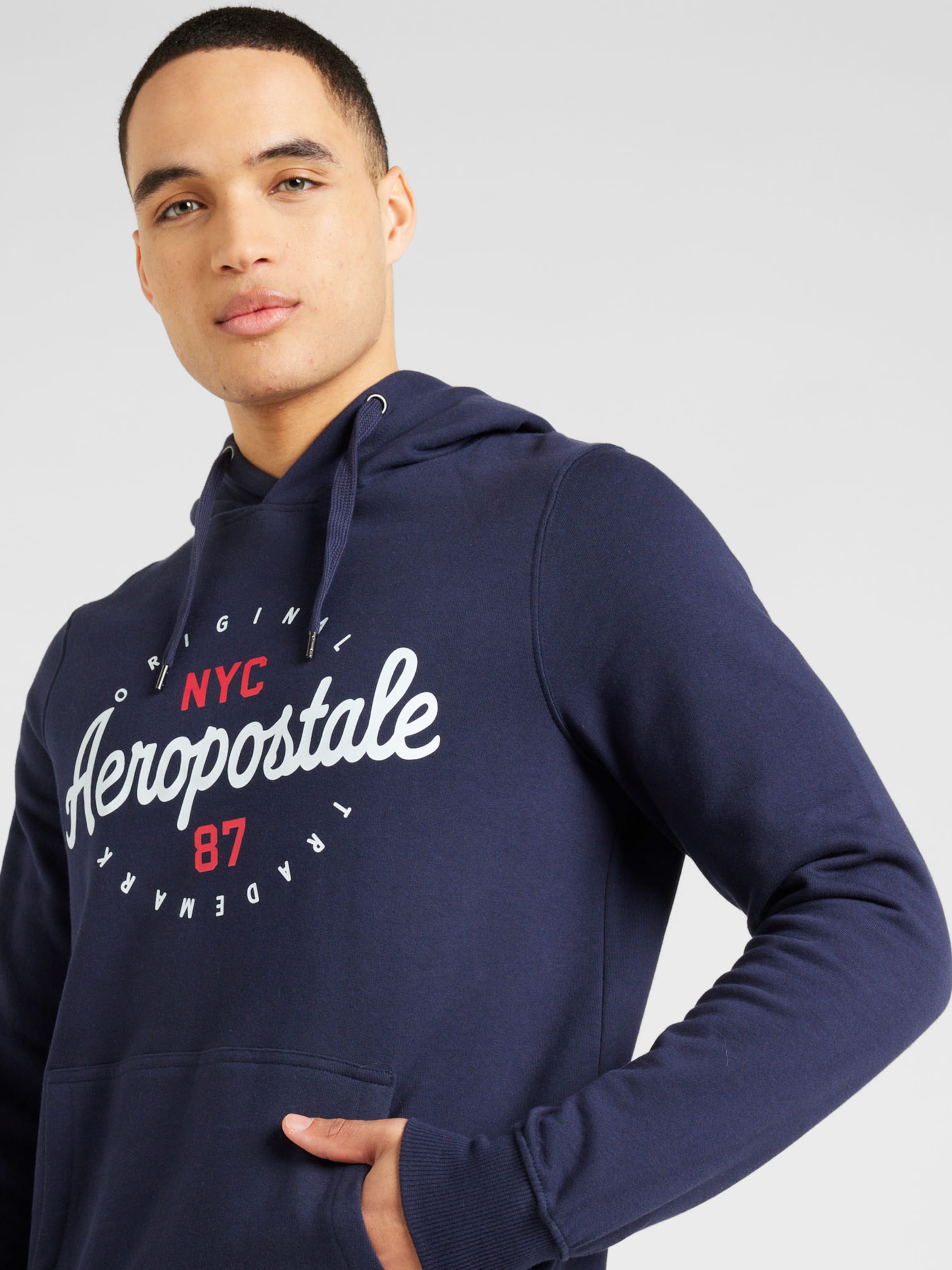 Blue aeropostale hoodie online