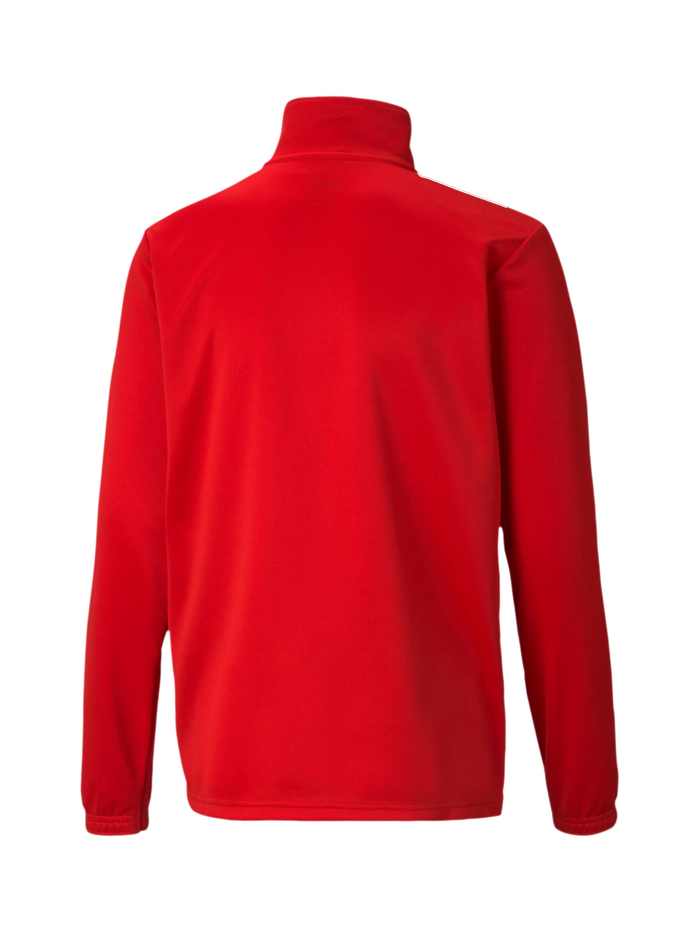 PUMA Sports sweatshirt 'TeamRise' in Red