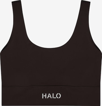 HALO Bralette Sports top in Brown: front