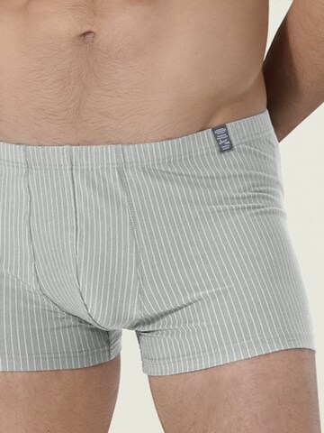 Boxers ' Urban Traveller ' Ammann en gris