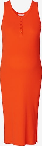 Noppies Jurk in Oranje: voorkant