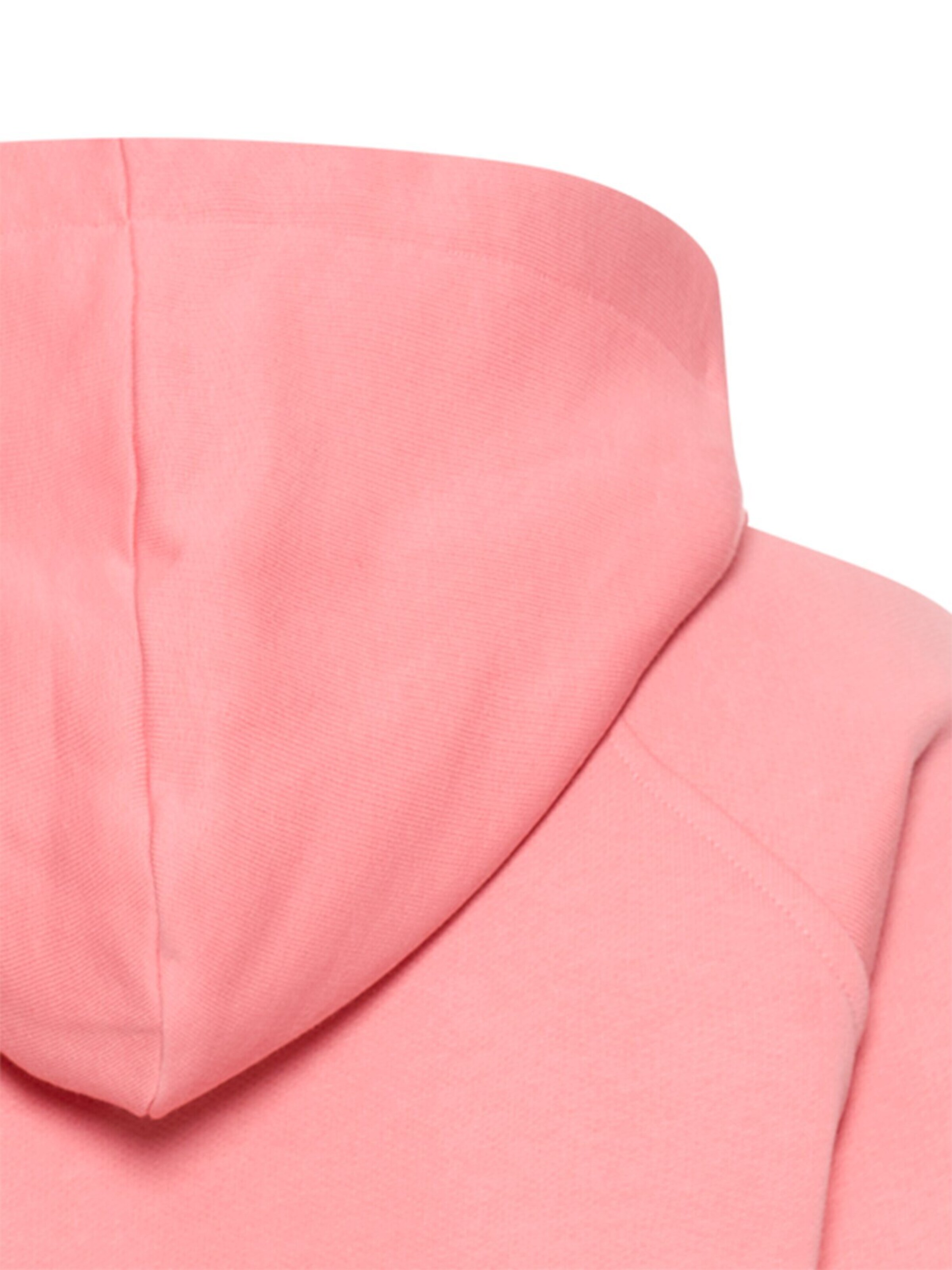 CAMEL ACTIVE Sweater in Pink