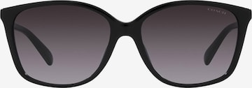 COACH Sunglasses in Black