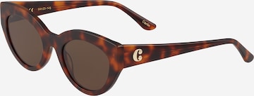 Corlin - Gafas de sol 'Gaby' en marrón: frente