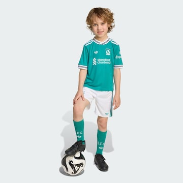ADIDAS PERFORMANCE Sportanzug 'FC Liverpool 25/26''' in Grün