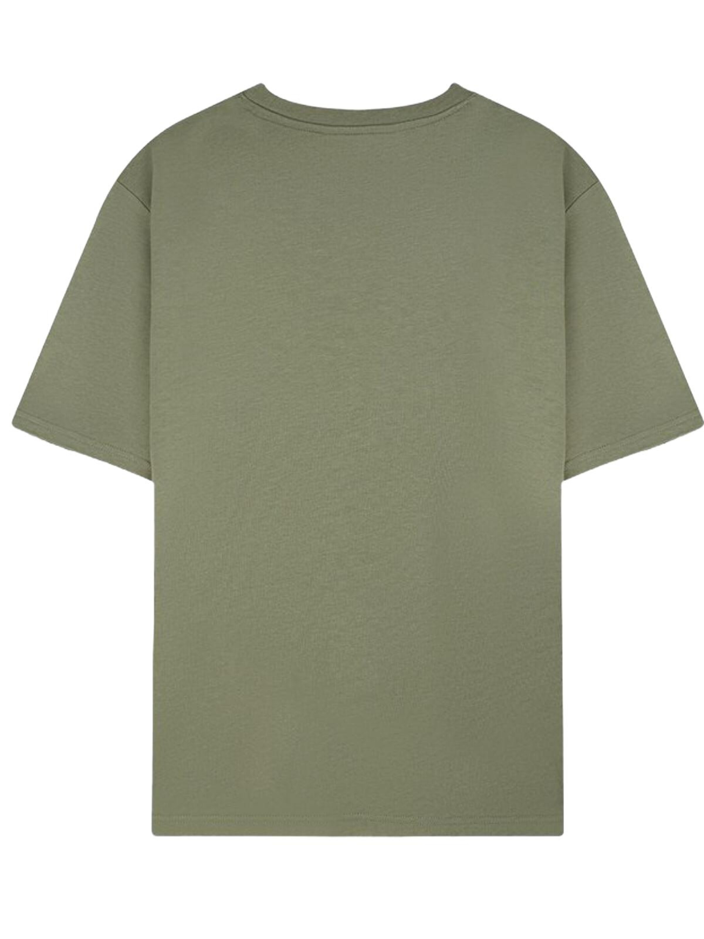 LTB Jeans Shirt 'LTB Jeans Herren Soft Touch T-Shirt' in Green