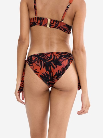 Bas de bikini ' Red Label Summer Palm ' TRIUMPH en marron