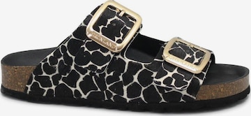 Mule 'GRUNLAND SARA CB1796 nero multi ciabatte donna anatomiche fibbie cavallino' Grunland en noir : devant
