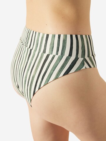 Penti Bikini nadrágok - vegyes színek