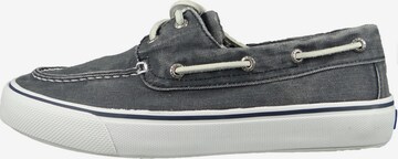 SPERRY Schnürschuh in Blau