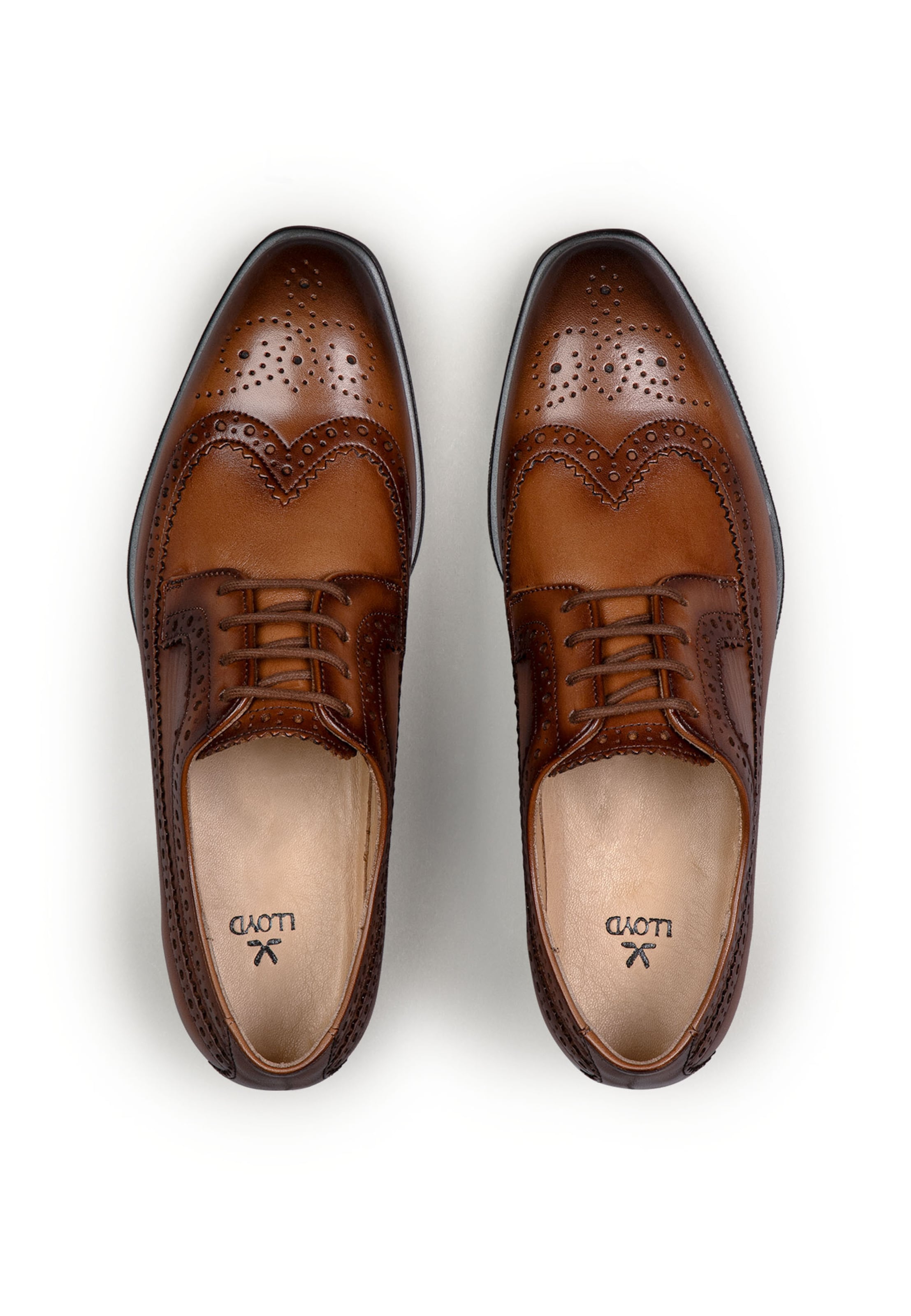 Chaussure à lacets 'SKY 140' LLOYD en marron