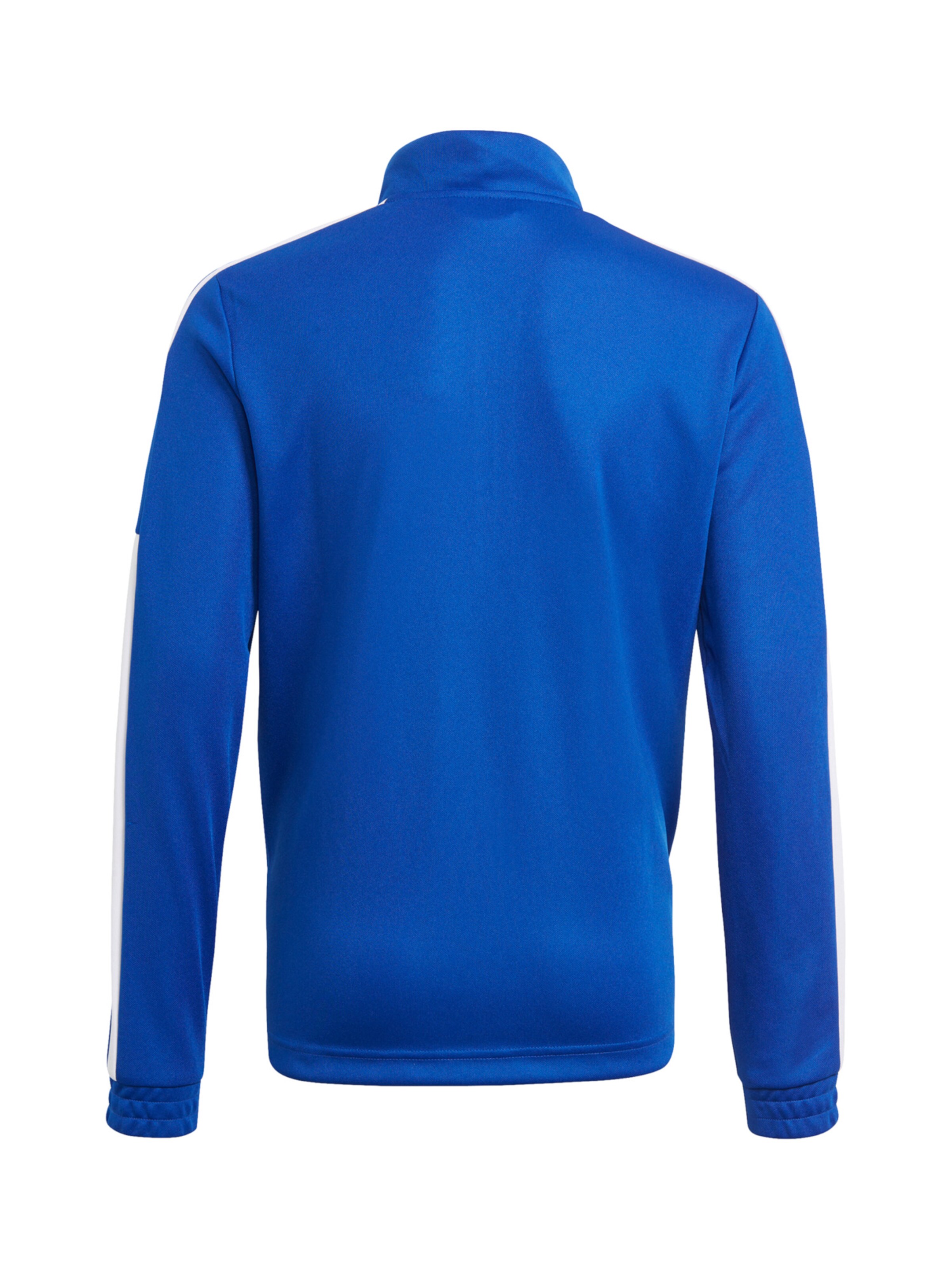 ADIDAS PERFORMANCE Sportsweatshirt 'Squadra 21' in Blau