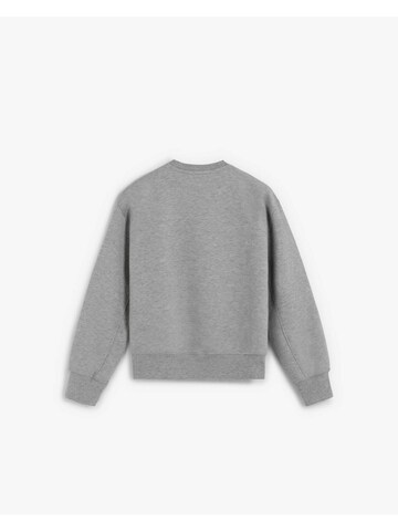 Bluză de molton 'Embcollege' de la Scalpers pe gri