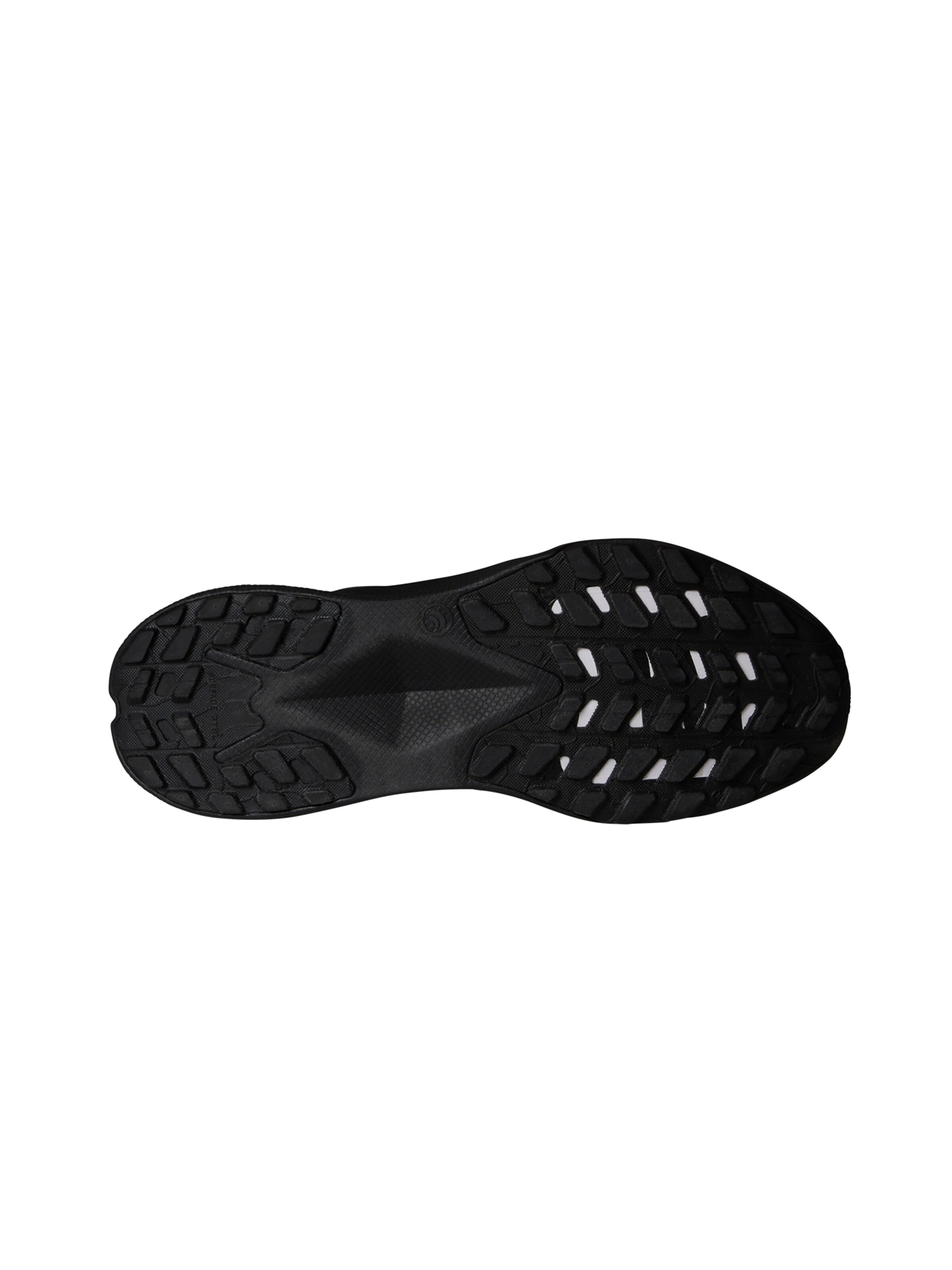 THE NORTH FACE - Sapatilha de corrida 'Altamesa 300' em preto
