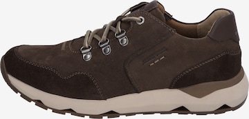 JOSEF SEIBEL Sneaker in Braun: Vorderseite