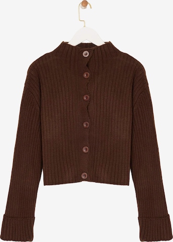 Trendyol Strickjacke in Braun: Vorderseite