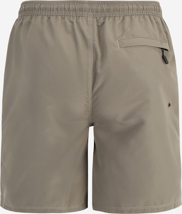 Superdry Swimming shorts in Green