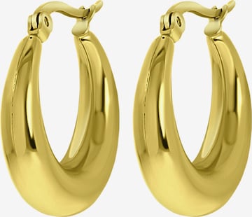 Boucles d'oreilles Lucardi en or : devant