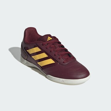 Chaussure de sport 'Super Sala II' ADIDAS PERFORMANCE en rouge