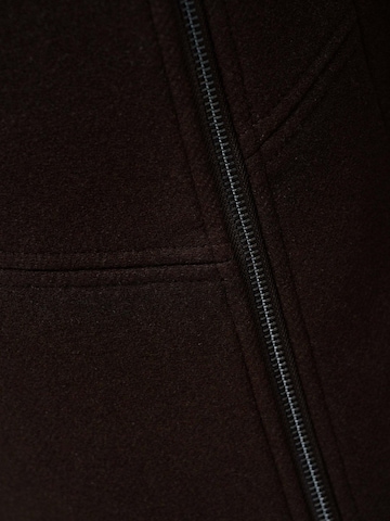 Salsa Jeans Winterjacke 'Wool Coat With Fur Collar'‌‌ in Braun