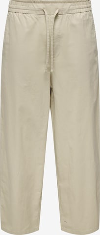Loosefit Pantalon 'ONSDaves' Only & Sons en gris : devant