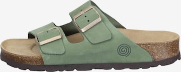 DR. BRINKMANN Mules 'Bonillo' in Green: front