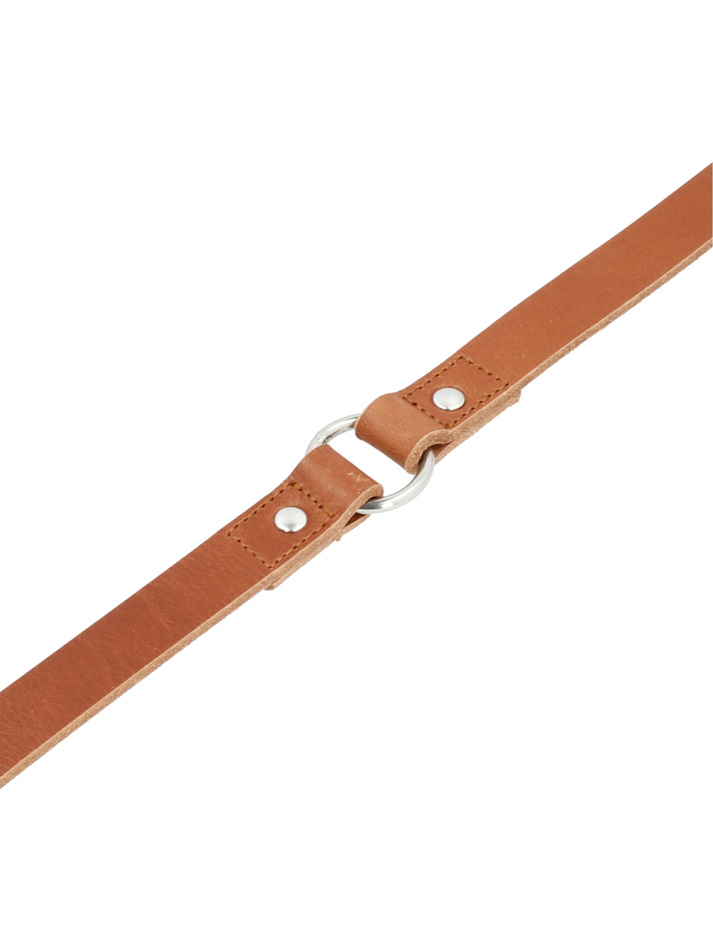 Accessoires pour animaux 'Strolch' Picard en marron