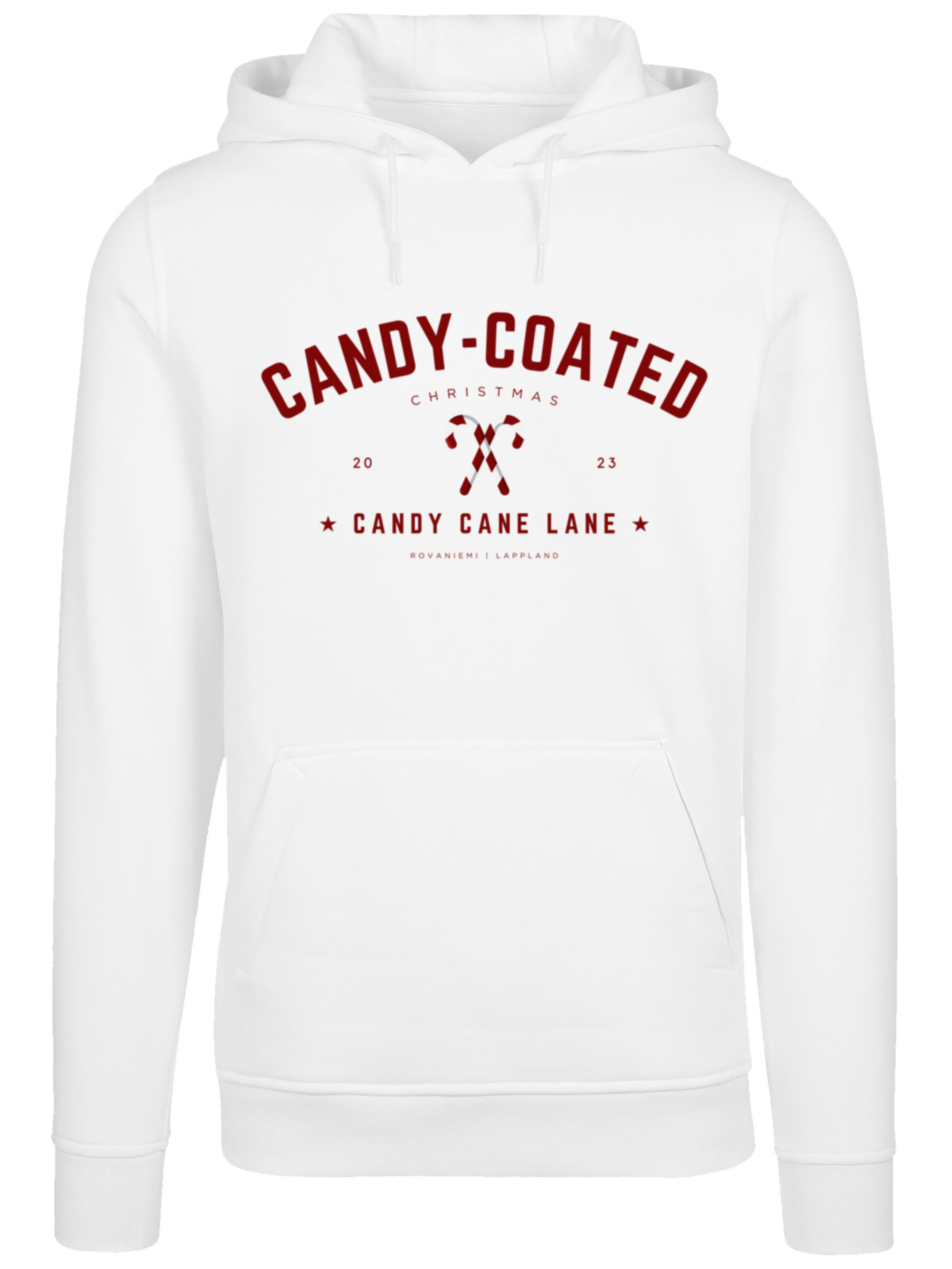 F4NT4STIC Sweatshirt in Weiß: Vorderseite