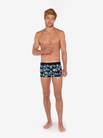 HOM Boxershorts 'Eden' in Schwarz