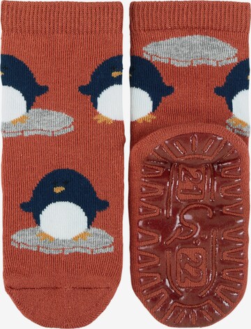 STERNTALER Socks in Brown