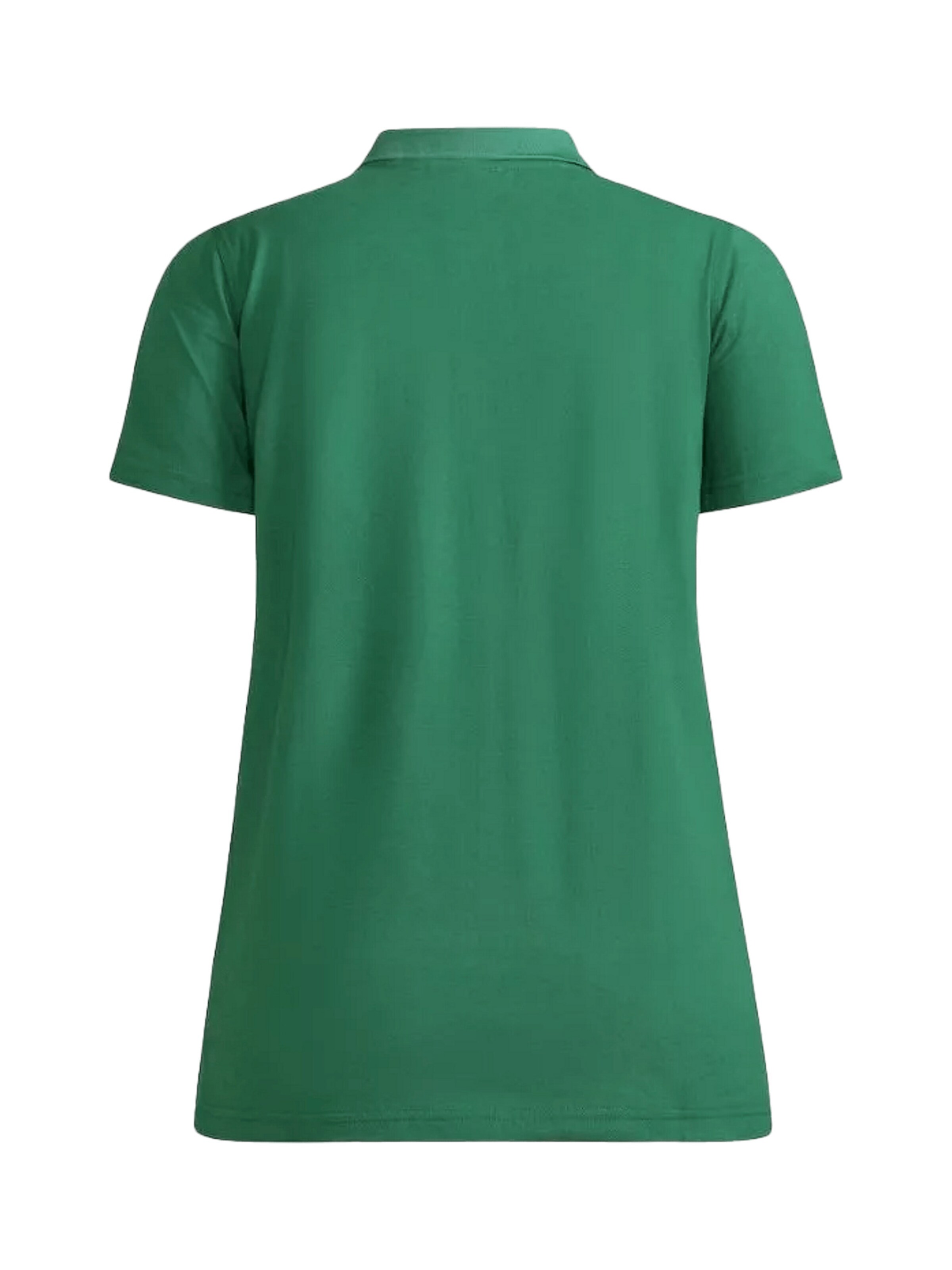 Craft Funktionsshirt 'Progress 2.0' in Grün