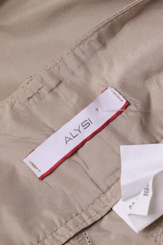 Alysi Hose XS in Beige