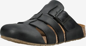 HAFLINGER Mule in Black: front