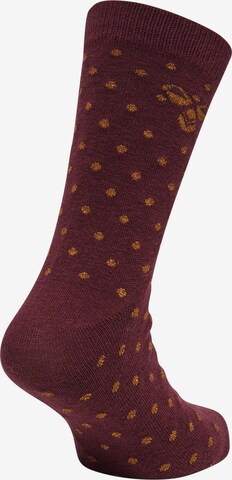 Hummel Socks 'Alfie' in Brown