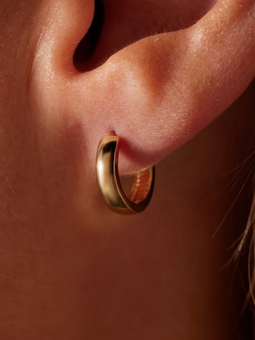 Lucardi Earrings in Gold: front