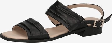 CAPRICE Sandals in Black: front