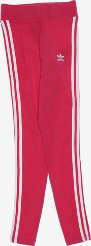 ADIDAS ORIGINALS Pants in XXS in Pink: front