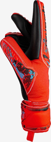 REUSCH Sporthandschoenen 'Attrakt Grip Evolution' in Rood